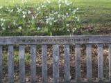 image of grave number 848192